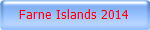 Farne Islands 2014